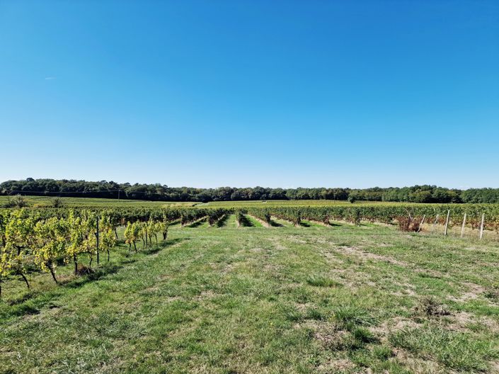 Image No.2-House for sale