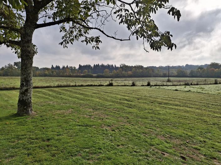 Image No.14-4 Bed House for sale