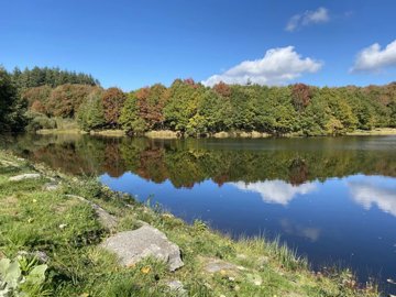 b21d318ee12a88fed3013372f6f9d80c36d9344ce7192