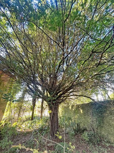 Image No.2-Property for sale