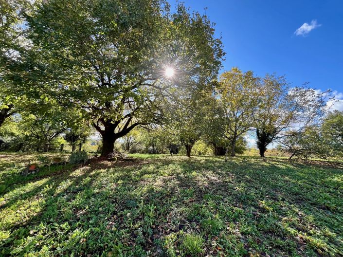 Image No.2-2 Bed Village House for sale