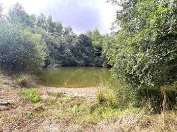 246c2ce9988c21cc8a043e5acdafb1db8cfad72de8192