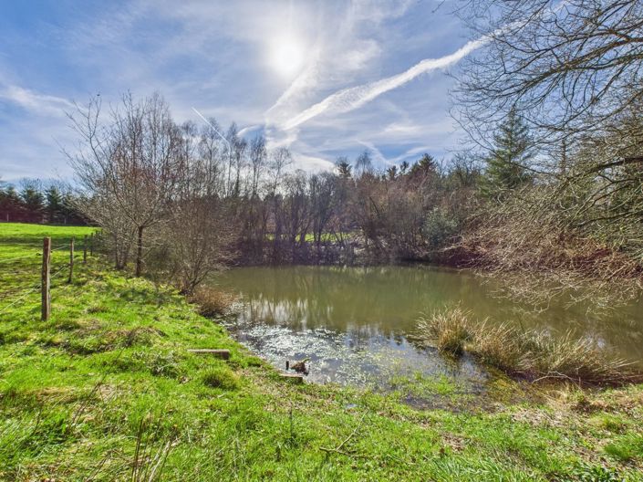 Image No.15-3 Bed House for sale