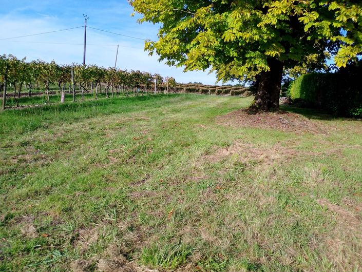 Image No.2-4 Bed House for sale