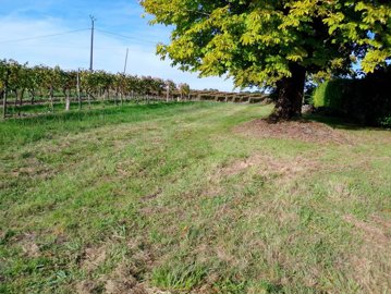 5938eff98d1151eea4aa88d9e118590cb8e2529697192