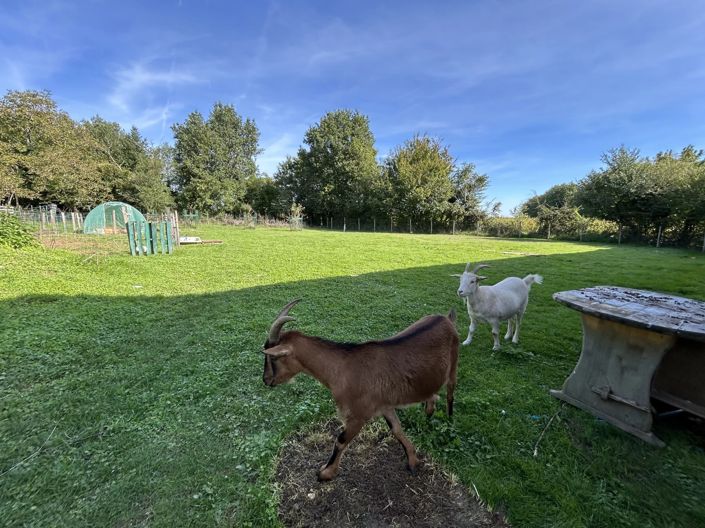 Image No.13-Maison de village de 5 chambres à vendre à Chaunay