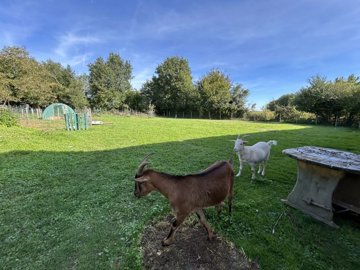 72b032e60e28f2242fa66b4116fb11dcaa182c09cd192