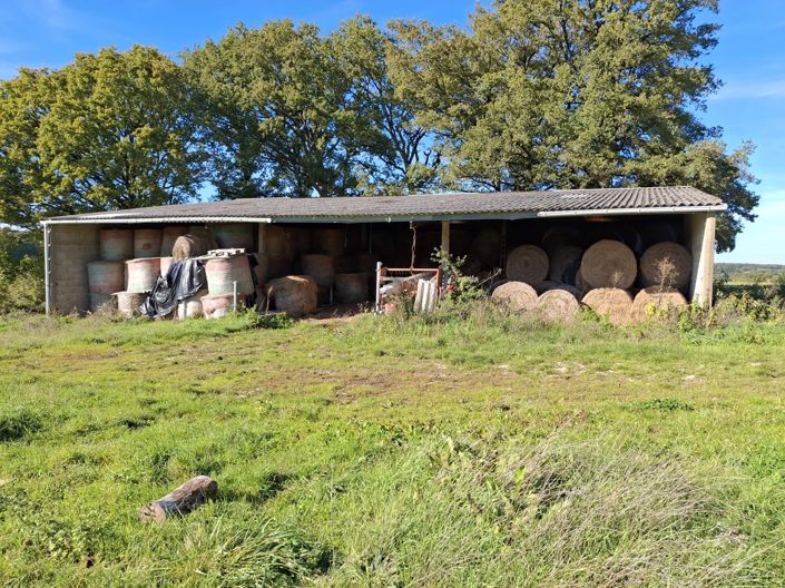 Image No.10-3 Bed Farmhouse for sale