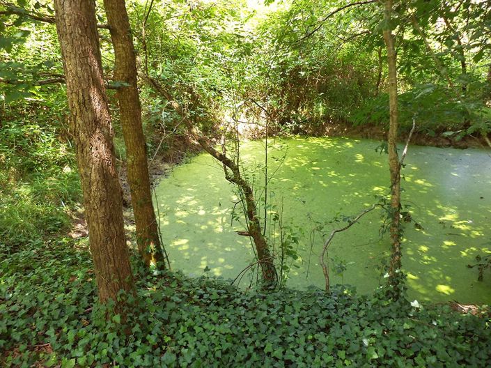 Image No.12-Maison de 4 chambres à vendre à Lauzun