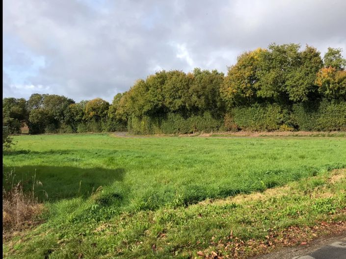 Image No.12-4 Bed Village House for sale