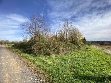 4aae159c80d772549fbeae4a37afaa504519610df8192