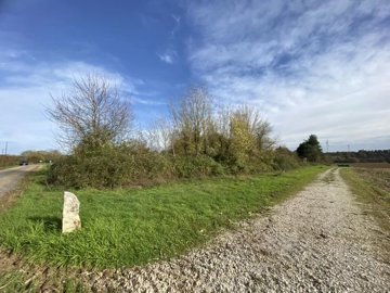 bd31a5d3af6863aeafcd586fcc9bb1a503ebf6e5a2102