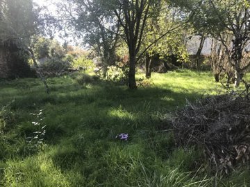 d977fb88a07e25dc4d824a26e2a4ac15d2d77b87a8192