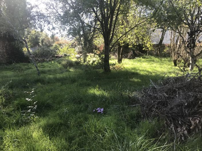 Image No.15-Maison de village de 2 chambres à vendre à Lussac-les-Églises