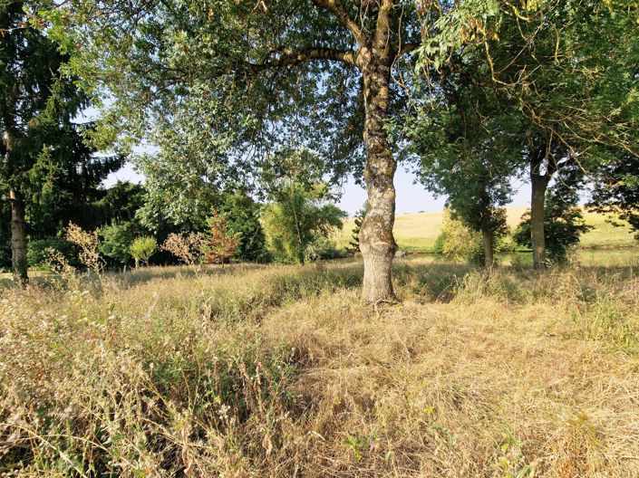 Image No.12-5 Bed House for sale