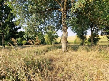 0dcdf0e15824f235b755d919c1617b553d0e6969ae400