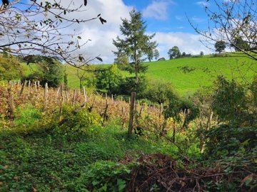 26626a9fe6cc182af514851290aa45361c41c094cb192