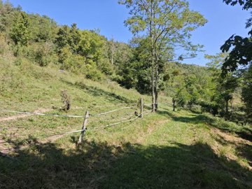 7ca03ff5e6b894287df8487504e6dfc9bf291f8b93192