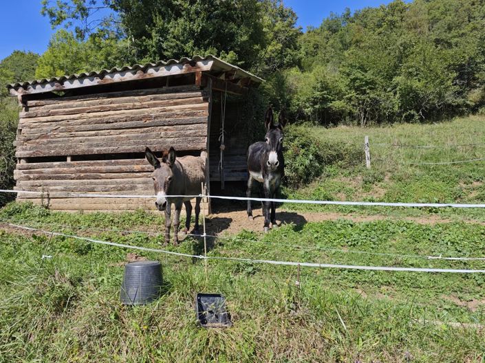 Image No.15-4 Bed House for sale