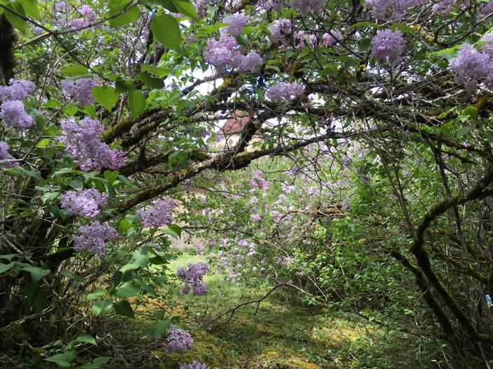 Image No.14-2 Bed House for sale