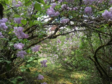 4229d2464ec29216a03bf305ebd5f5c9c3ed11e676403