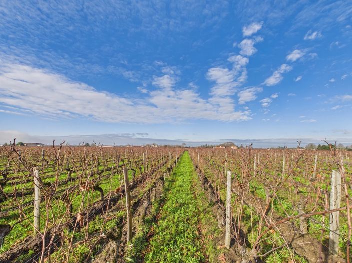 Image No.11-Maison de 6 chambres à vendre à Saint-Emilion