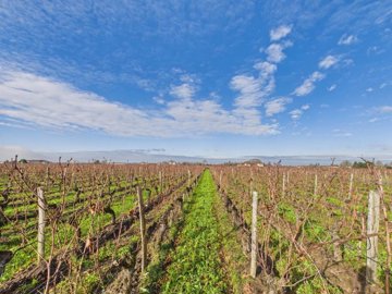 3b35d29976fc115d0c5b54822d56a18dffe4d4b33b200