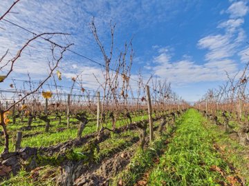 70351ef1dca510cf0377bc936f7c084b24ed702f38200