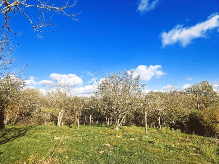 Image No.12-Village House for sale