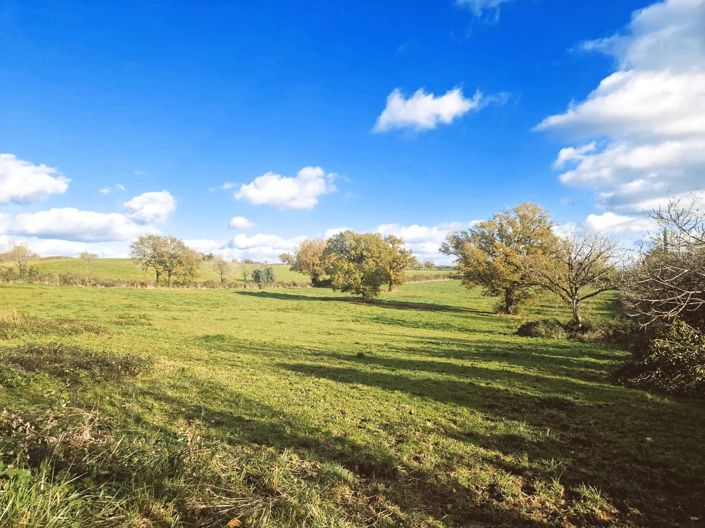 Image No.4-Village House for sale