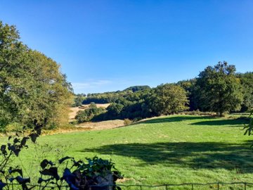 538b5da644c9f8765882a47250ce0a917dcc4dea56408