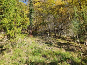 33f3617c637cc3dfdae8a9c3dca0d8e921b2b67075403