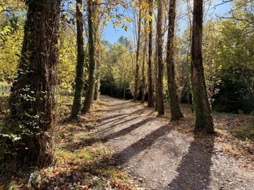 59fe8e33f53d140f6018c782ba76cb9aa498b2d2d3192