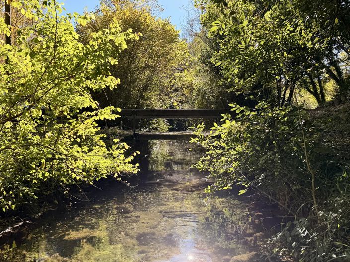 Image No.4-8 Bed House for sale