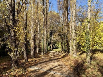 12298511b47a72ffae4616a0d0360438dc70347fad192