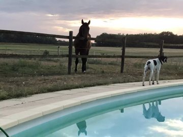 e00ec9e12ba38cf21aaef37ab49418832ea9fb8513192