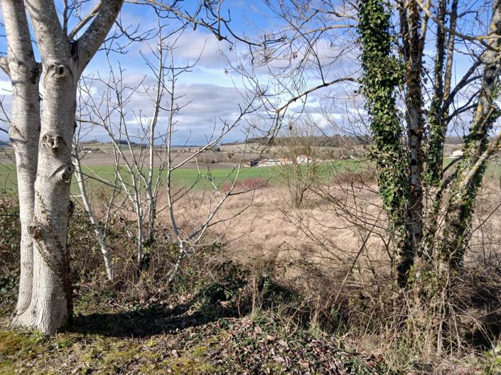 Image No.4-Property for sale