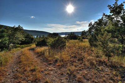 0e7c9ac75d41073f7f0ef37f25466af076274101d5192