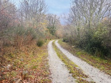 d97fe76eac1797b8d048f5e32369c8d19c999507bf403