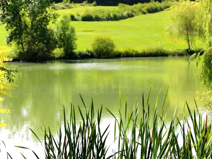 Image No.2-12 Bed Village House for sale