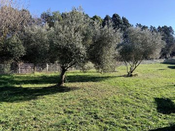 1c2eb05b8efcffd42c5853830285ead51b346173b0409