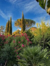 d2dd120651ab87a16f0d6dec255eb991eb70b7b76b155