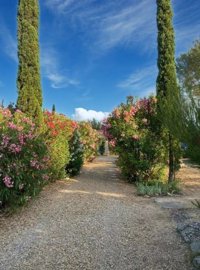 31eebb9484b7cf08eac726efc67fcf8d16c0172a5e158