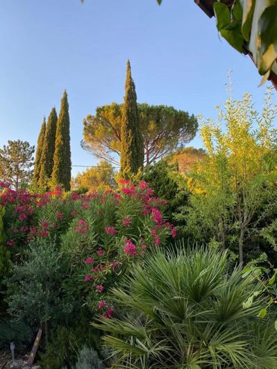 Image No.15-2 Bed House for sale