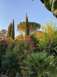 f822977a4f5c9f4aa43007f1747d008dc562b8031c102