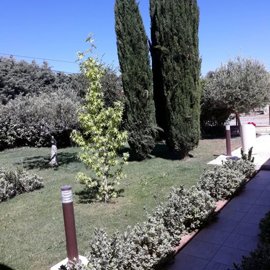 977cde171e6bf4f1ca47416b43fed077f861aa1484192