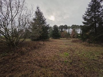 e762dfc3beedaed870ca608f018a4fae1f0da01cde400