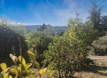 40461732a8b9d693c2da03c342305b0e23dcfad65f214