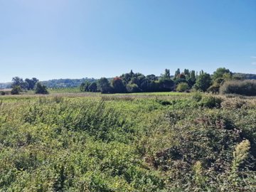 ce2f6bbc0cdd864e28af82ddadb94aa6e852c3436a373