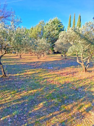 Image No.2-Property for sale